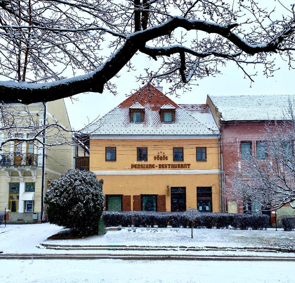 Voeroes Guest House Tîrgu Secuiesc Exteriör bild